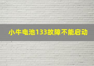 小牛电池133故障不能启动