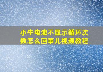 小牛电池不显示循环次数怎么回事儿视频教程