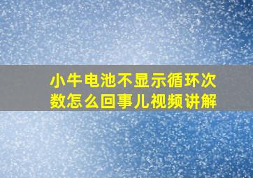 小牛电池不显示循环次数怎么回事儿视频讲解