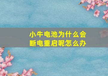 小牛电池为什么会断电重启呢怎么办