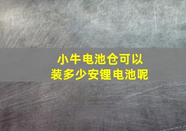 小牛电池仓可以装多少安锂电池呢