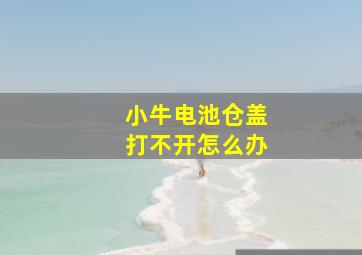 小牛电池仓盖打不开怎么办