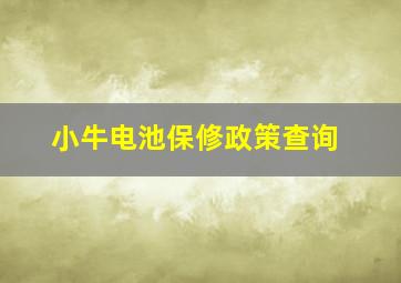 小牛电池保修政策查询