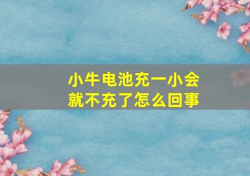 小牛电池充一小会就不充了怎么回事