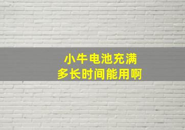 小牛电池充满多长时间能用啊