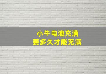 小牛电池充满要多久才能充满