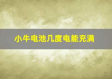 小牛电池几度电能充满