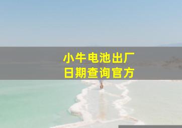 小牛电池出厂日期查询官方