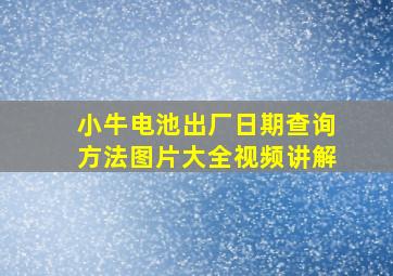 小牛电池出厂日期查询方法图片大全视频讲解