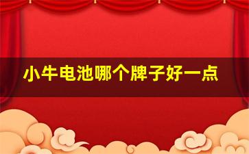 小牛电池哪个牌子好一点