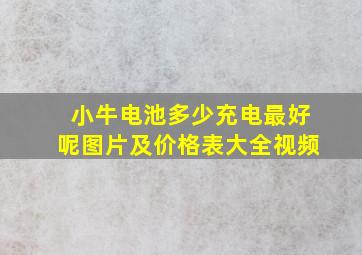 小牛电池多少充电最好呢图片及价格表大全视频