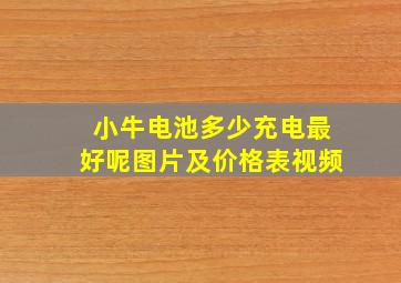 小牛电池多少充电最好呢图片及价格表视频