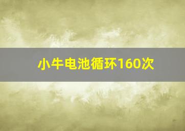 小牛电池循环160次