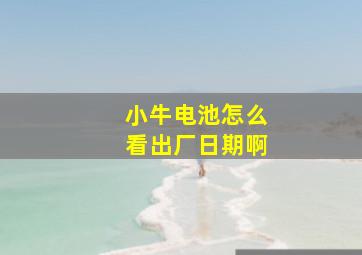 小牛电池怎么看出厂日期啊