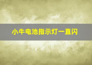 小牛电池指示灯一直闪