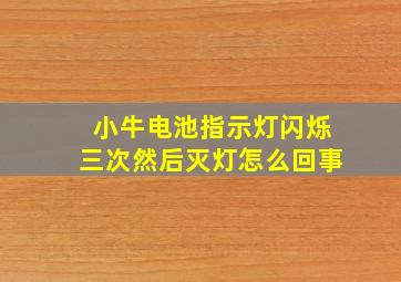 小牛电池指示灯闪烁三次然后灭灯怎么回事