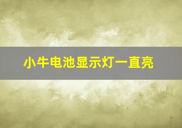 小牛电池显示灯一直亮