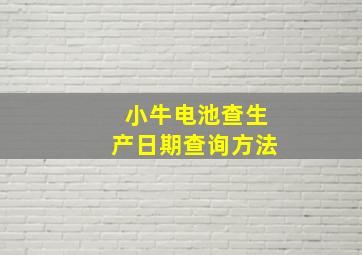 小牛电池查生产日期查询方法