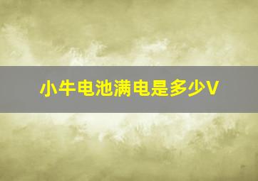 小牛电池满电是多少V