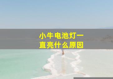 小牛电池灯一直亮什么原因