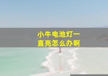 小牛电池灯一直亮怎么办啊