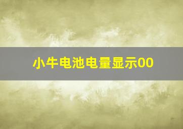 小牛电池电量显示00