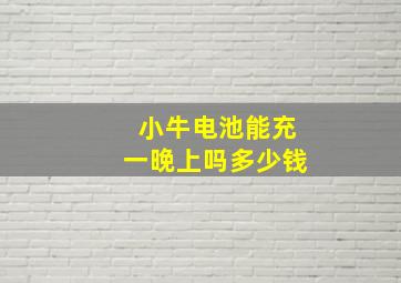 小牛电池能充一晚上吗多少钱