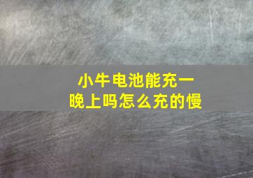 小牛电池能充一晚上吗怎么充的慢