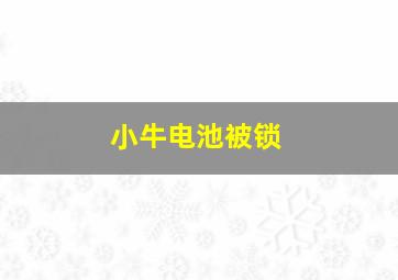 小牛电池被锁