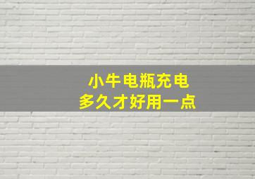 小牛电瓶充电多久才好用一点