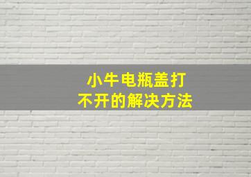 小牛电瓶盖打不开的解决方法