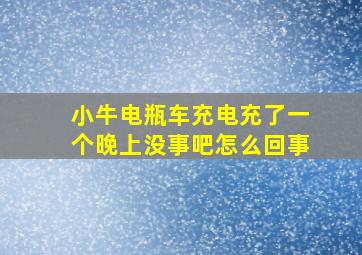 小牛电瓶车充电充了一个晚上没事吧怎么回事