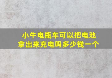 小牛电瓶车可以把电池拿出来充电吗多少钱一个