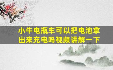 小牛电瓶车可以把电池拿出来充电吗视频讲解一下