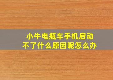 小牛电瓶车手机启动不了什么原因呢怎么办