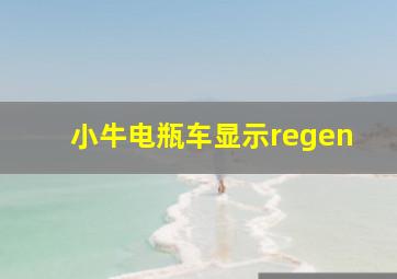 小牛电瓶车显示regen