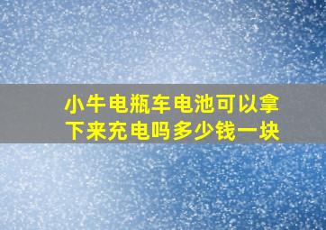 小牛电瓶车电池可以拿下来充电吗多少钱一块