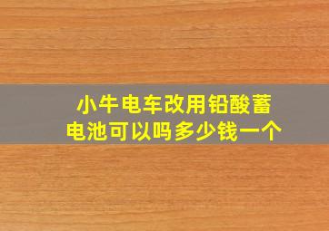 小牛电车改用铅酸蓄电池可以吗多少钱一个