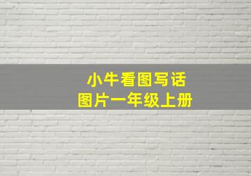 小牛看图写话图片一年级上册