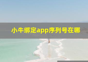 小牛绑定app序列号在哪