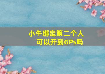 小牛绑定第二个人可以开到GPs吗