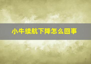 小牛续航下降怎么回事