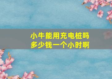 小牛能用充电桩吗多少钱一个小时啊