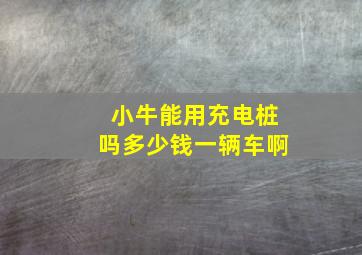 小牛能用充电桩吗多少钱一辆车啊