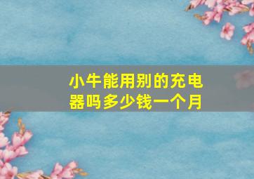 小牛能用别的充电器吗多少钱一个月