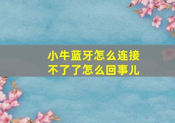 小牛蓝牙怎么连接不了了怎么回事儿