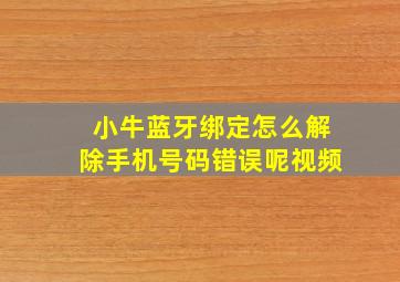 小牛蓝牙绑定怎么解除手机号码错误呢视频