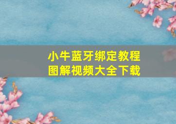 小牛蓝牙绑定教程图解视频大全下载