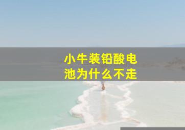 小牛装铅酸电池为什么不走