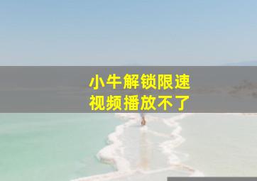 小牛解锁限速视频播放不了